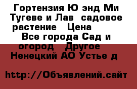 Гортензия Ю энд Ми Тугеве и Лав, садовое растение › Цена ­ 550 - Все города Сад и огород » Другое   . Ненецкий АО,Устье д.